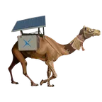 Xero Solar camel mascot