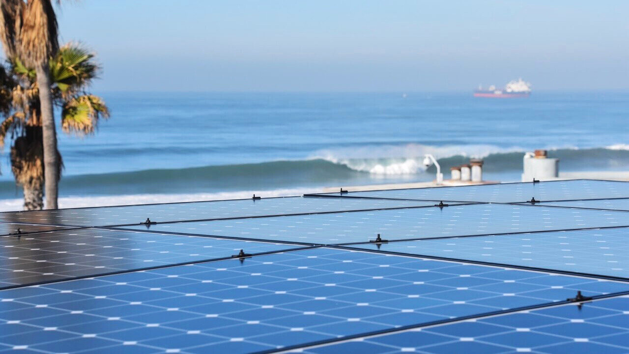 Xero solar panels on a rooftop with an ocean view and palm trees